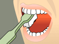 Brush the outer, inner, and chewing surfaces of each tooth.

