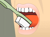 Use the tip of your brush for the inner surface of your front teeth.

